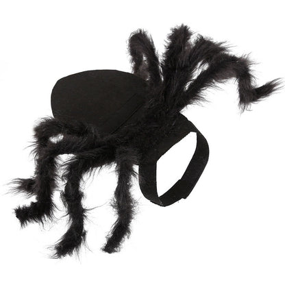 Spider Costume