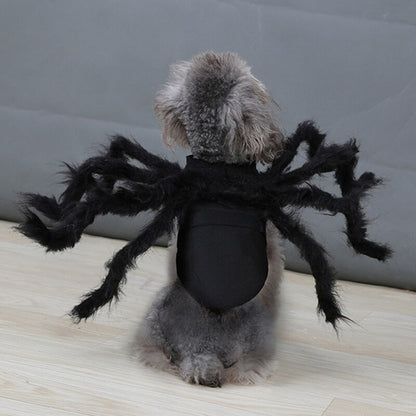 Spider Costume