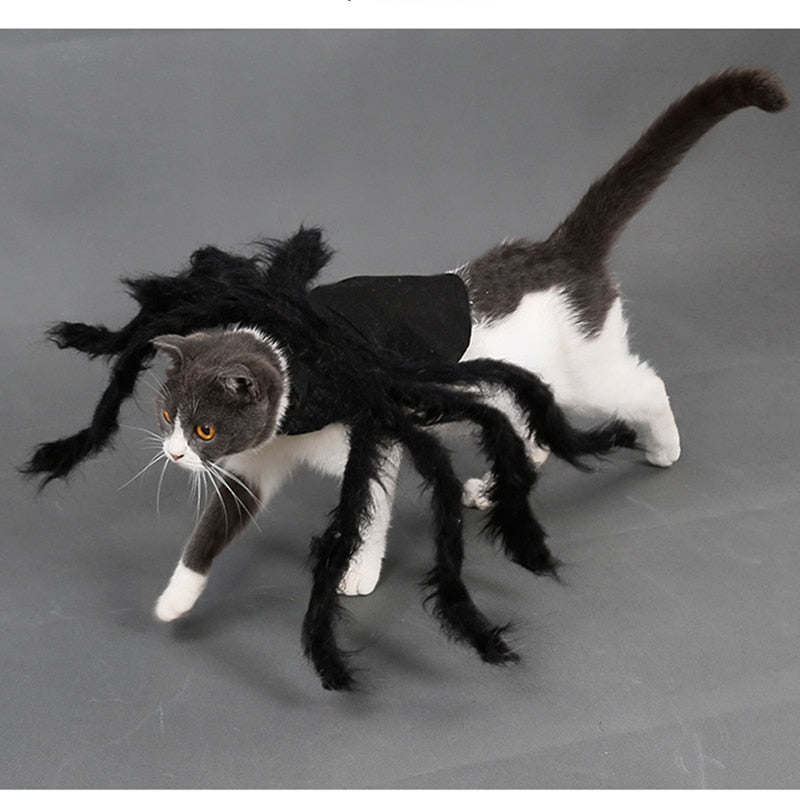 Spider Costume