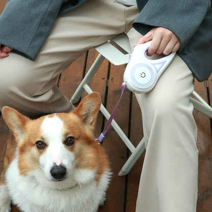 LED Leash